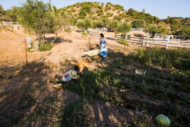 desbrozar parcela para un terreno más productivo